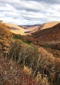 Pennsylvania BHA